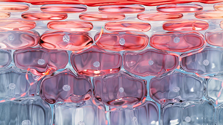 Rosactiv™ patent imagem